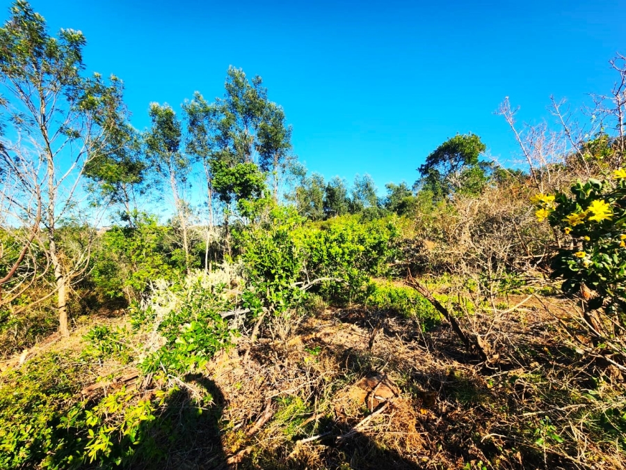 Commercial Property for Sale in Langvlei Dunes Western Cape